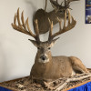 About Us Superior, WI Custom Archery and Outdoors